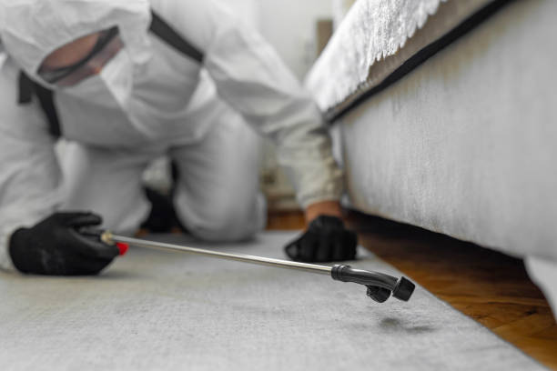 Professional Termite Control technician working in Shelton, WA